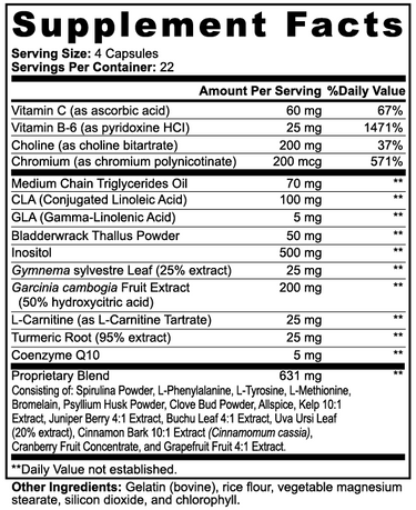 MCT Metabolic Dietary Blend
