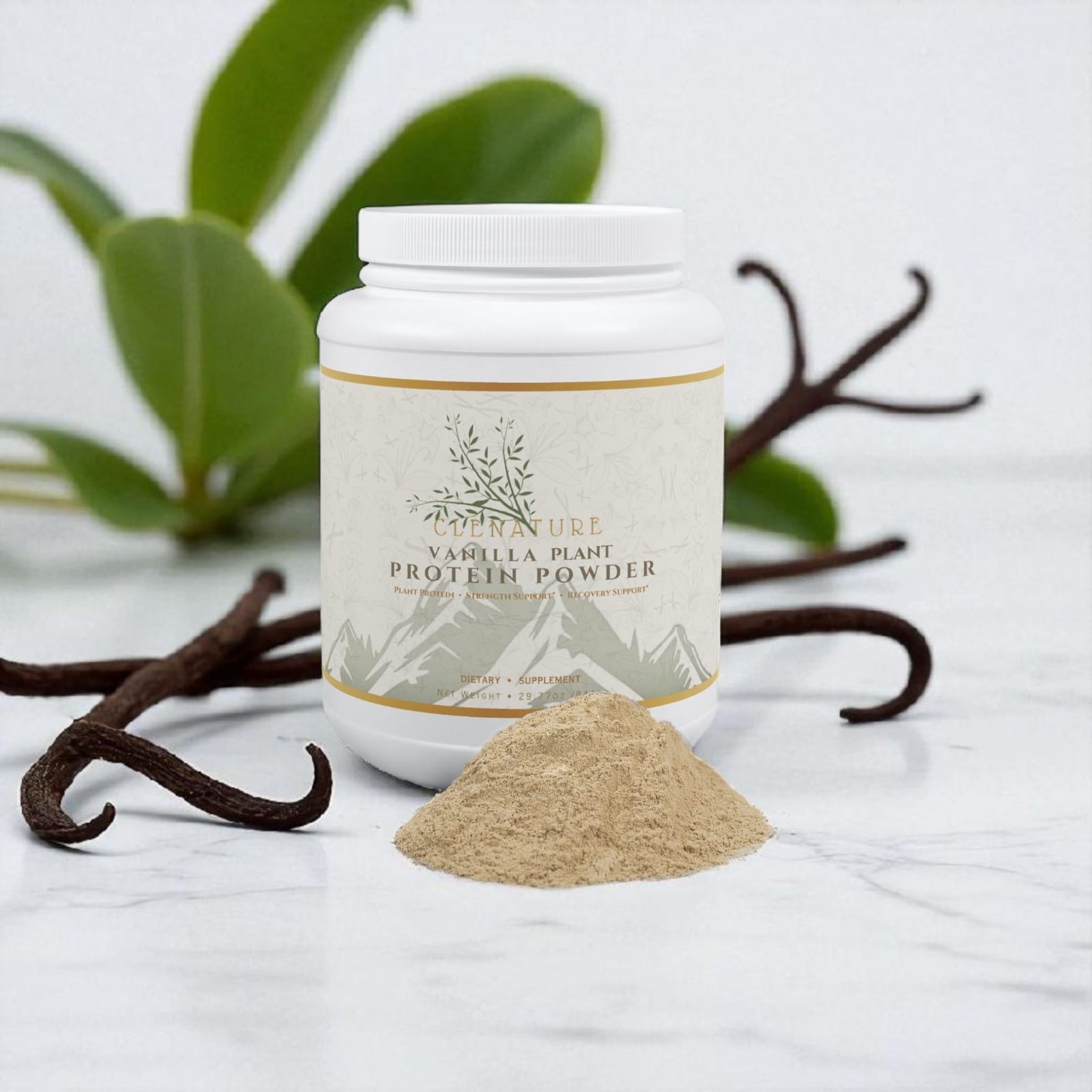 Vanilla Plant Protein Powder