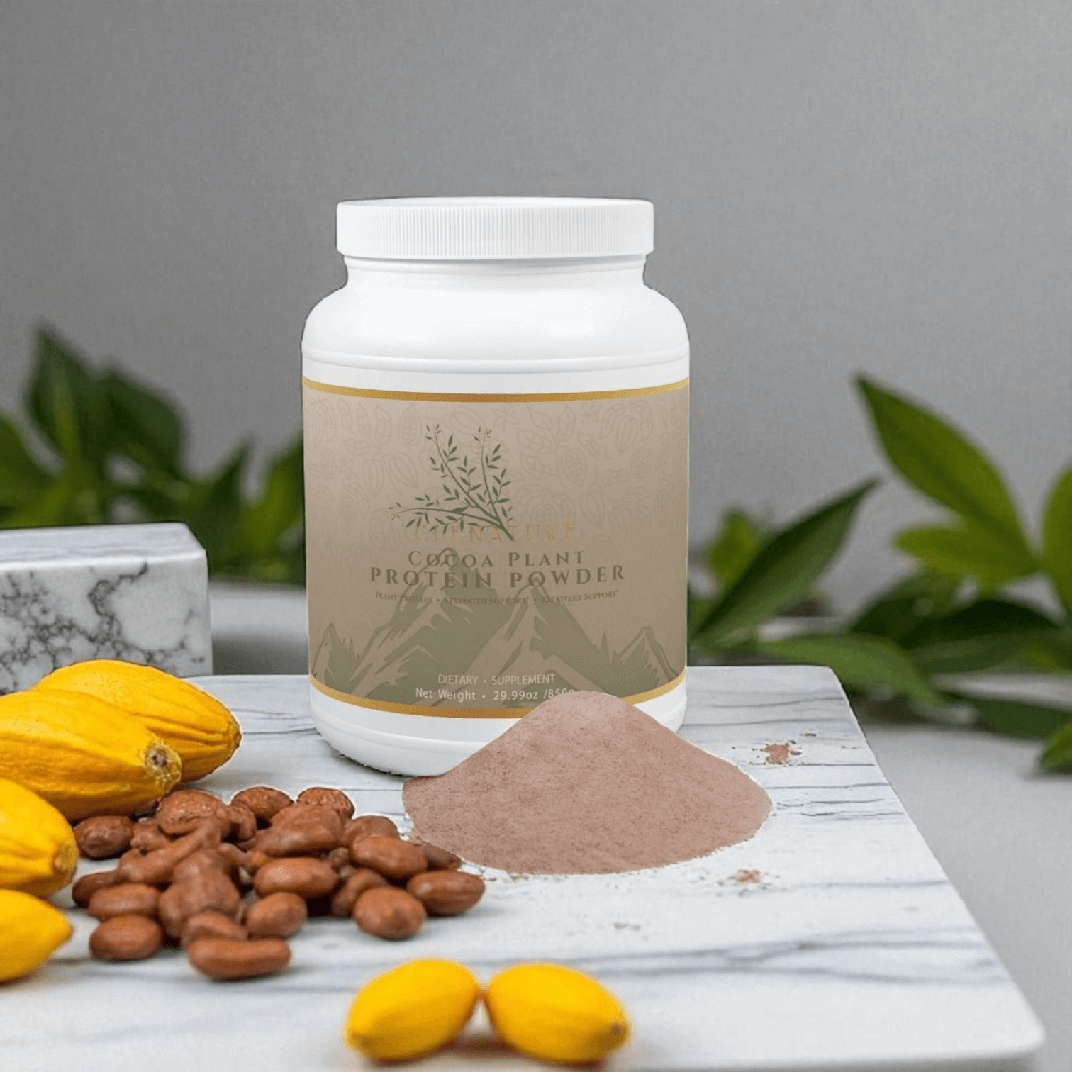 Cocoa Plant Protein Powder