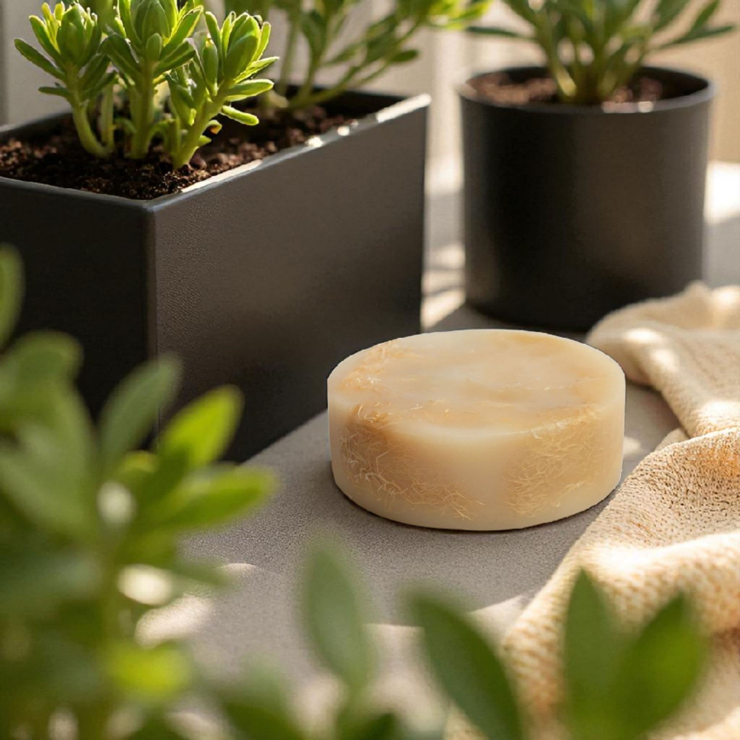 Hemp & Loofah Renewal Bar